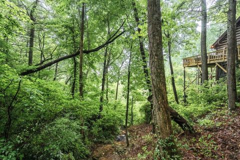 A home in Ellijay