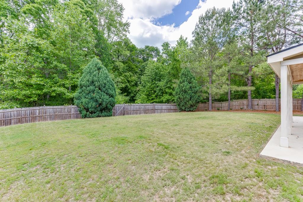 9565 Rushmore Circle, Braselton, Georgia image 49
