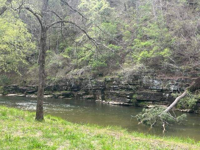 002 Swan Bridge Road, Talking Rock, Georgia image 2