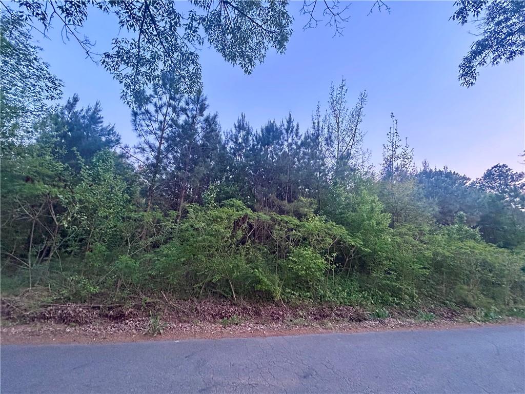 113 Old Alabama Wagon Road