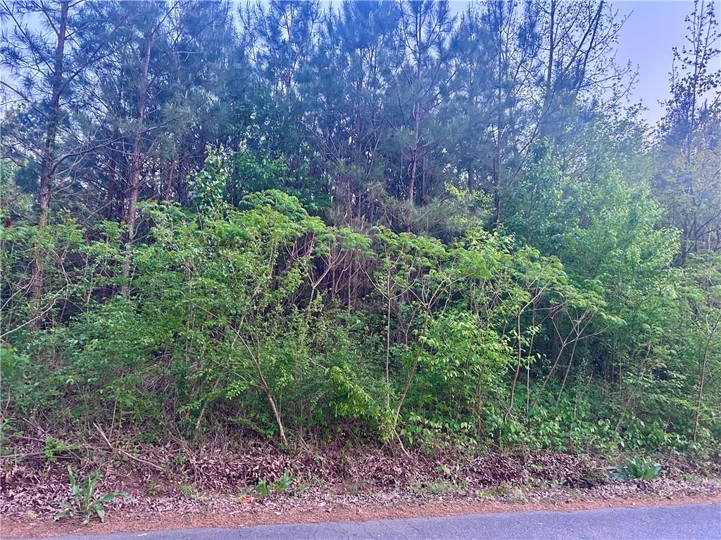 113 Old Alabama Wagon Road