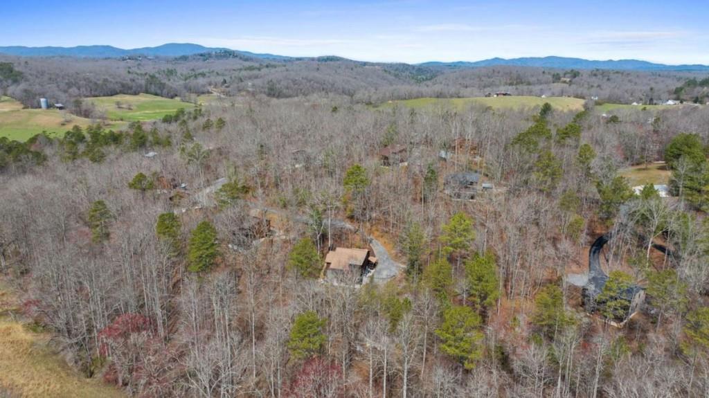 111 Windy Valley Spur, Blue Ridge, Georgia image 38