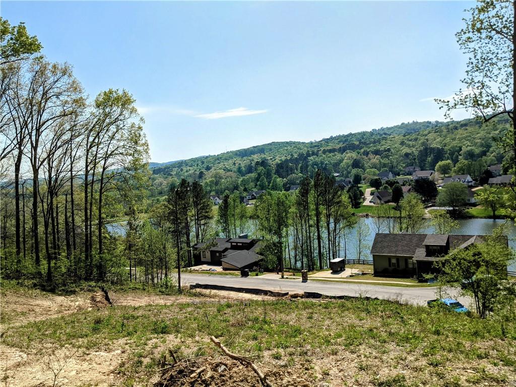 42 Canoe Cove, Ringgold, Georgia image 1