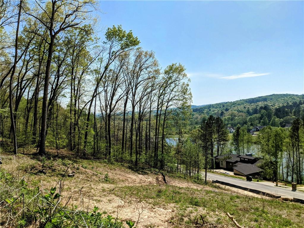 42 Canoe Cove, Ringgold, Georgia image 6