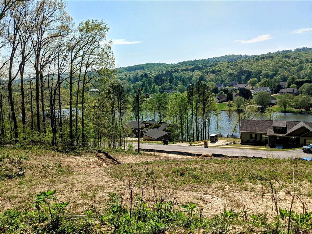 42 Canoe Cove, Ringgold, Georgia image 5