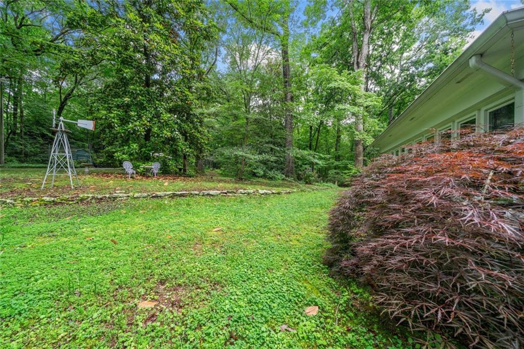 286 Hilton Way Way, Canton, Georgia image 48
