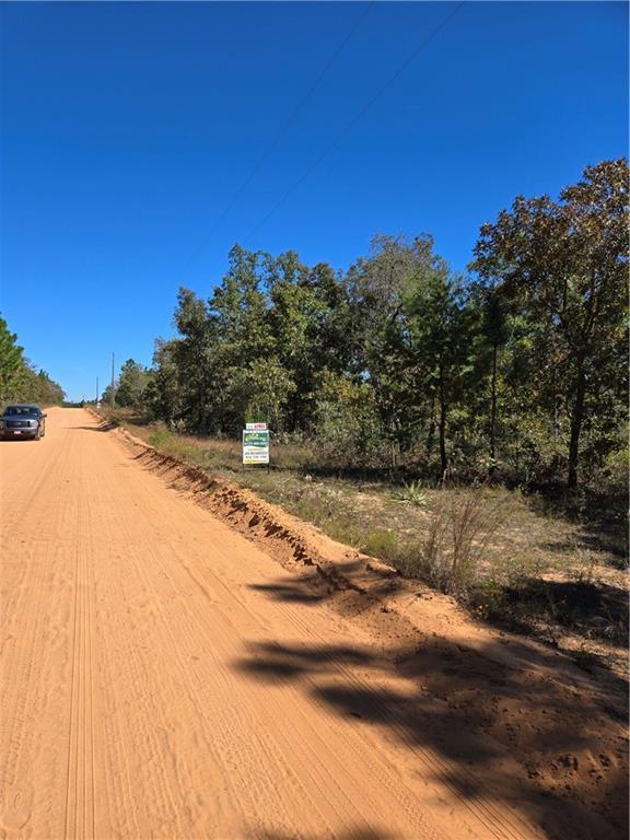 Simmons Road, Mauk, Georgia image 3