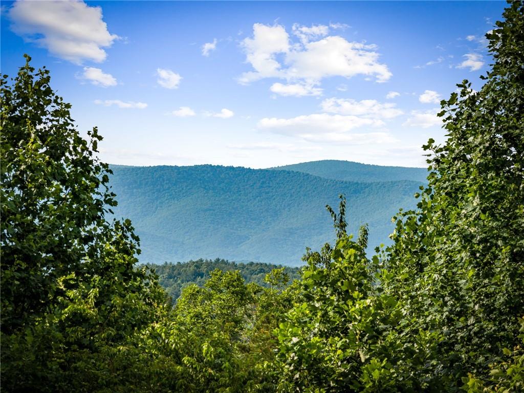 290 Old Anderson Creek Road
