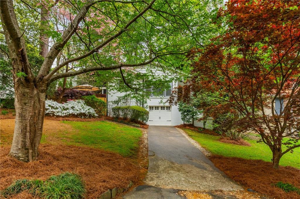 648 Channing Drive, Atlanta, Georgia image 4