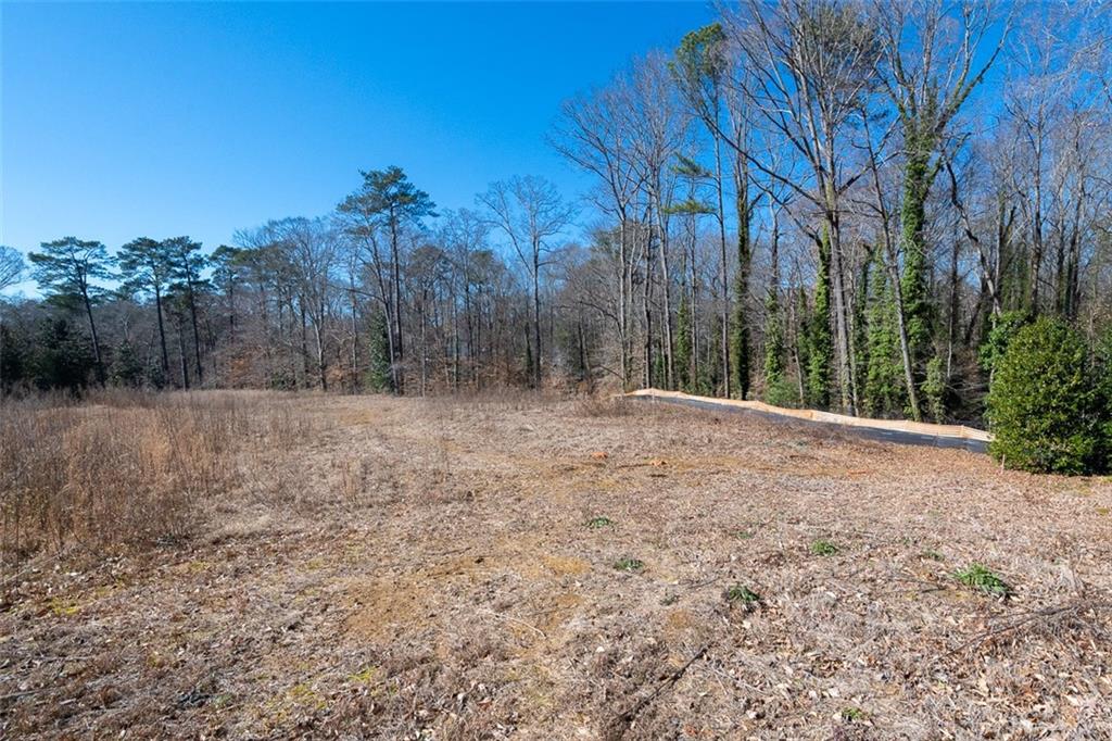 Tuxedo Park/Buckhead - Land