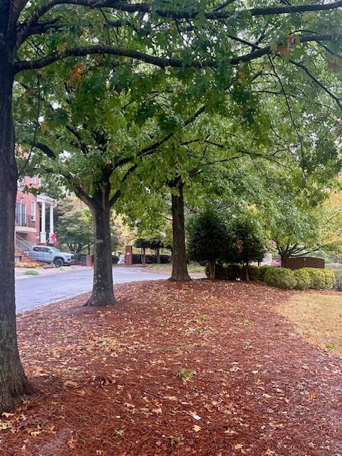 238 Mclaren Gates Drive