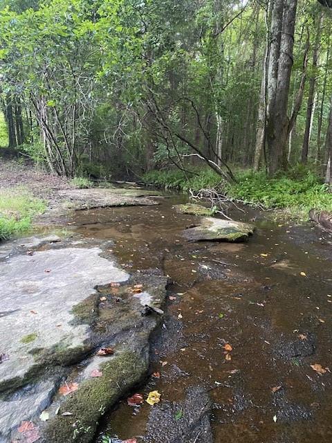 944 Muscovy Lane