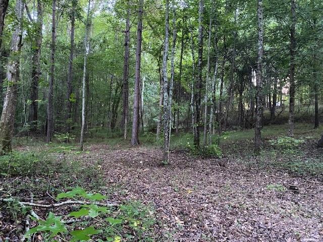 944 Muscovy Lane