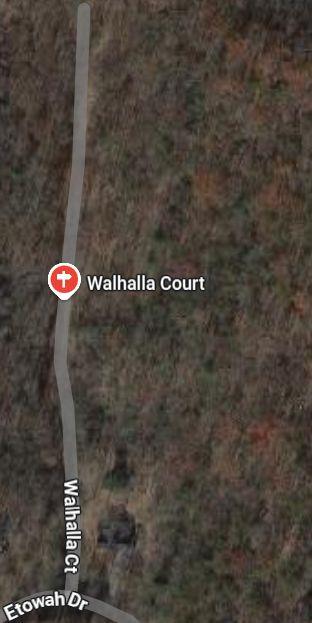 Walhalla Court, Ellijay, Georgia image 1