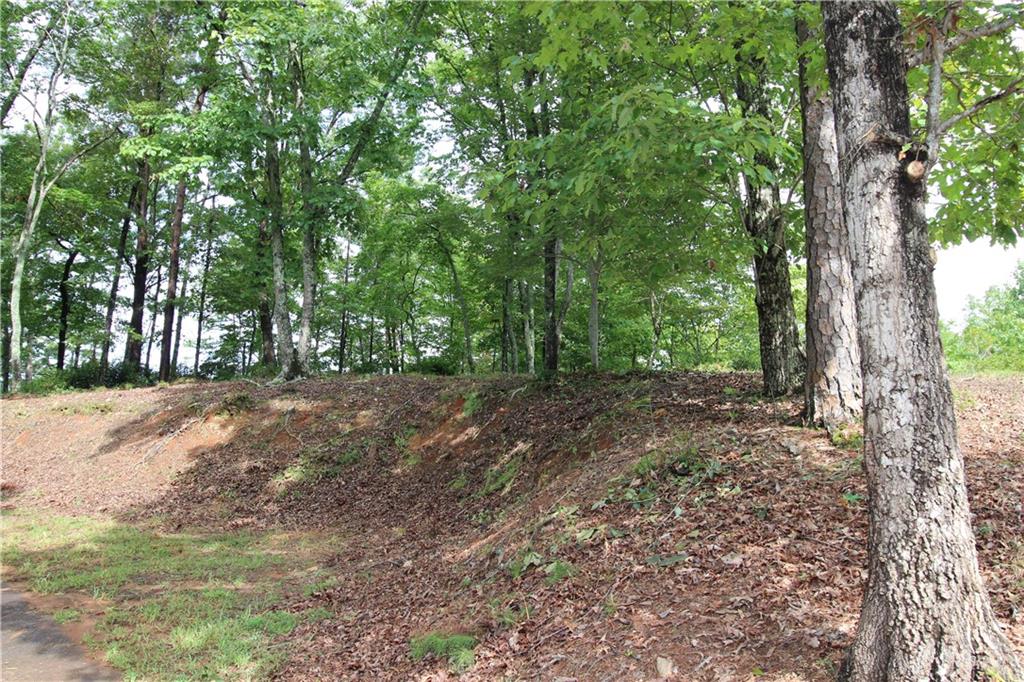 1034 Ainu Court, Dahlonega, Georgia image 14