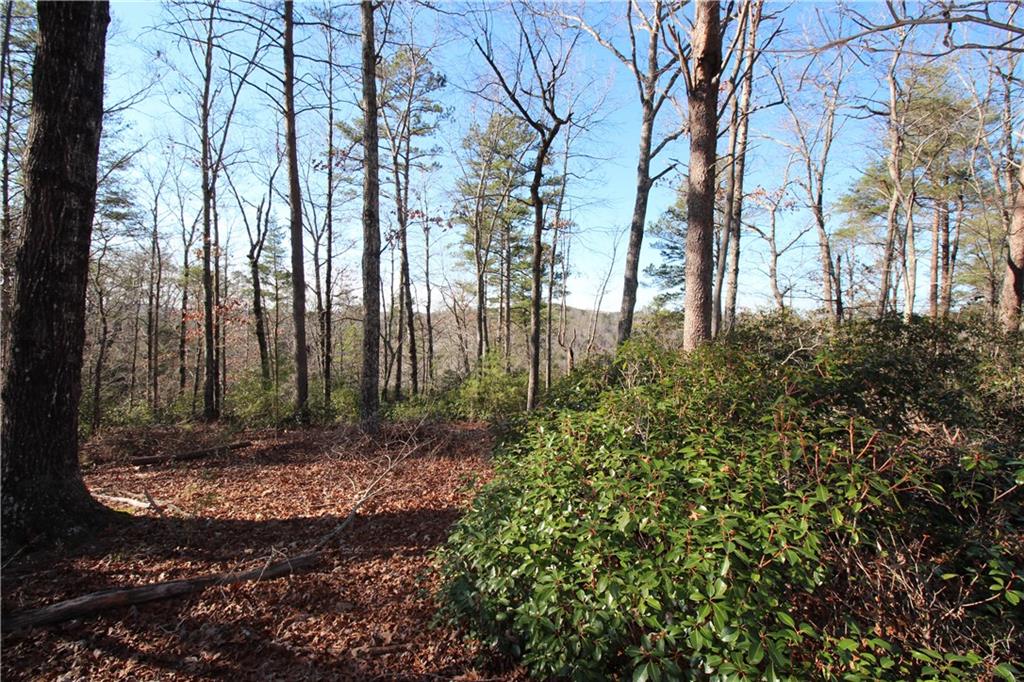 1034 Ainu Court, Dahlonega, Georgia image 12