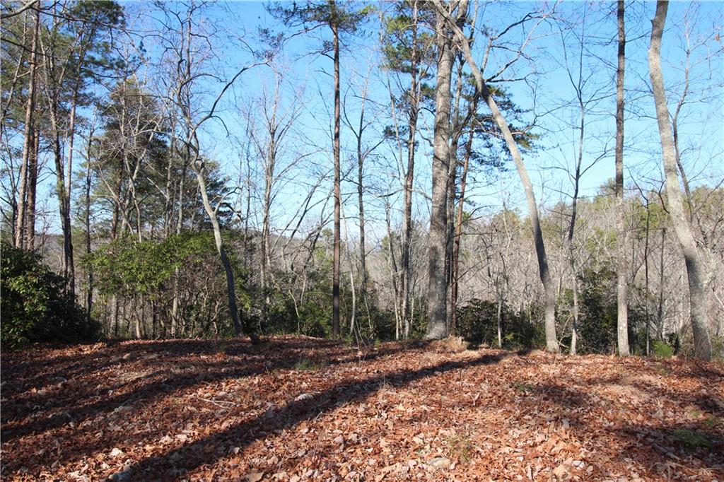 1034 Ainu Court, Dahlonega, Georgia image 13