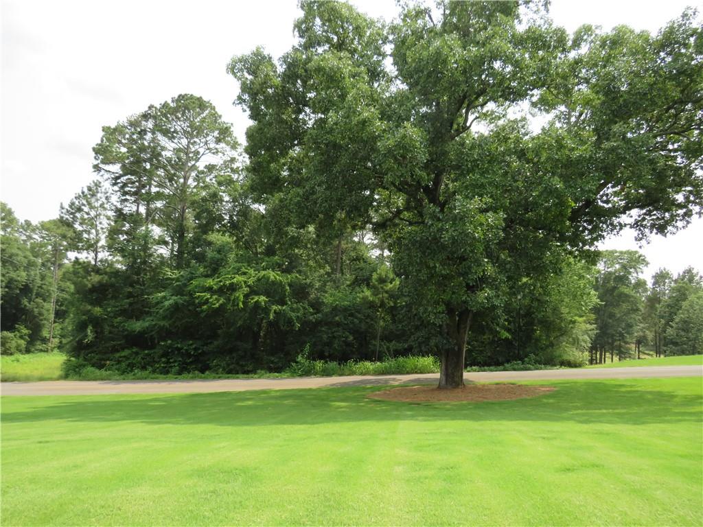 39 Summerwind Drive, Cedartown, Georgia image 14