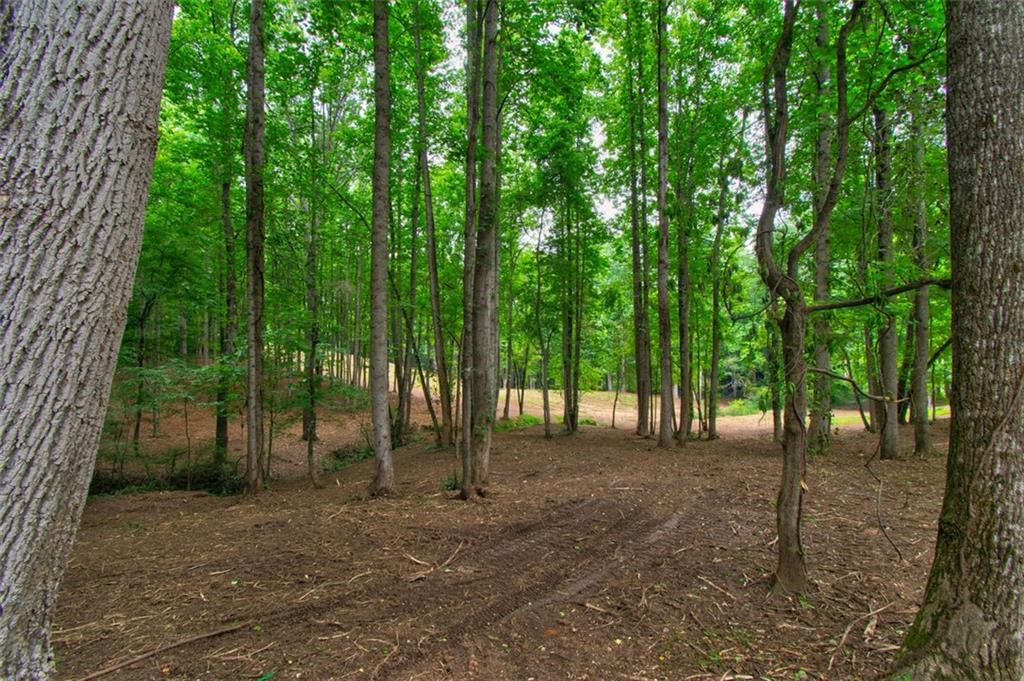 Union Hill Rd 3.82 Acres, Canton, Georgia image 2