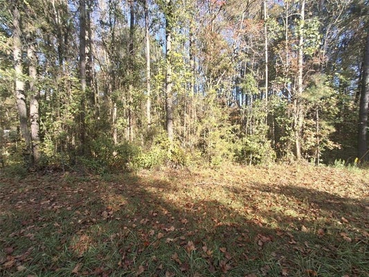 0 OLD HAMILTON MILLS ROAD, BREMEN, GA 30110 - Image c521daa310da004f8e22cb2aef51b4fe/3705410684