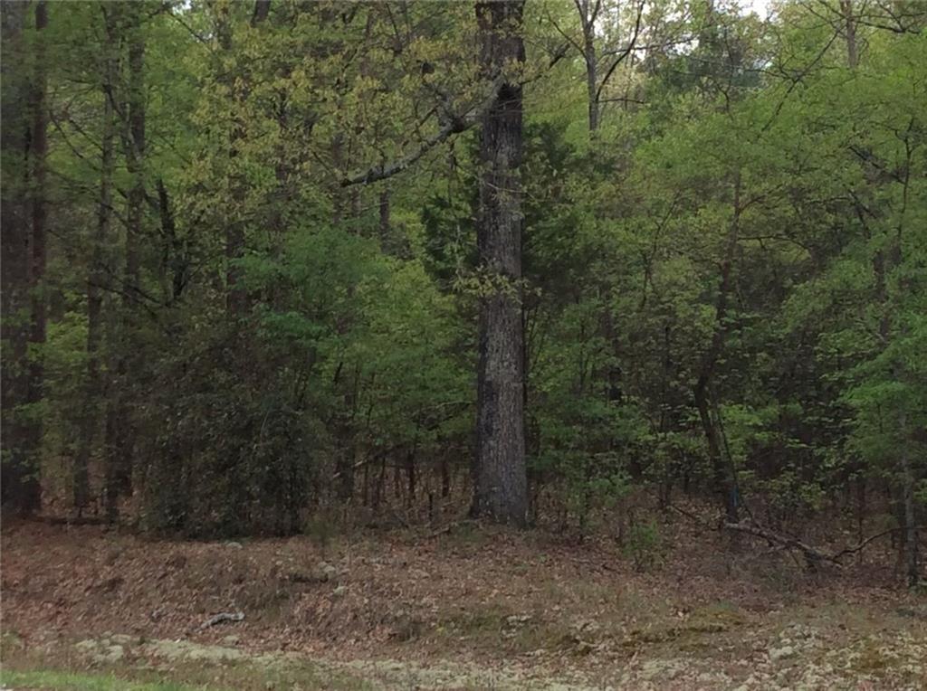 Hampton Estates at Rockbridge Road near Lake Capri. The elongated drive leads to private oasis of serenity. The property is conveniently located to I-20 close proximity access to downtown Atlanta, near shopping, entertainment, Piedmont Medical Center and more. This property is adjacent to another estate lot for sale 3.0 acres. All homes must be a minimum of 4000+ sq feet under roof. An opportunity to build your home choice and custom features. Homes starting in high $800's (use sellers preferred builders).