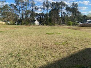 4430 Vernon Street, Lilburn, Georgia image 4