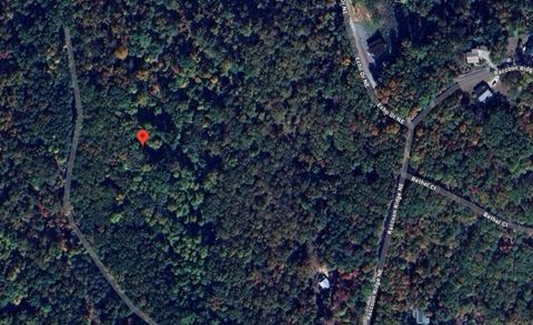 Vacant Land For Sale - 1009 N Cut Drive<br/> Ranger, GA 30734