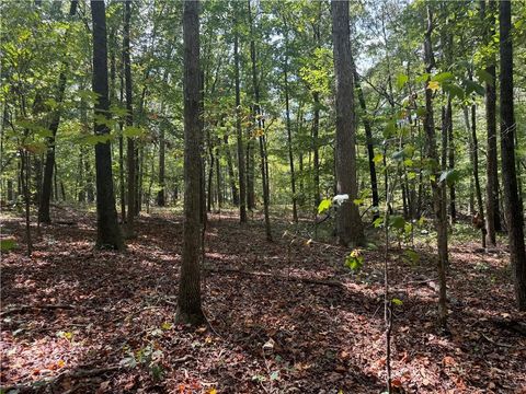 Vacant Land For Sale - 348 Pat Rich Drive<br/> Canton, GA 30115