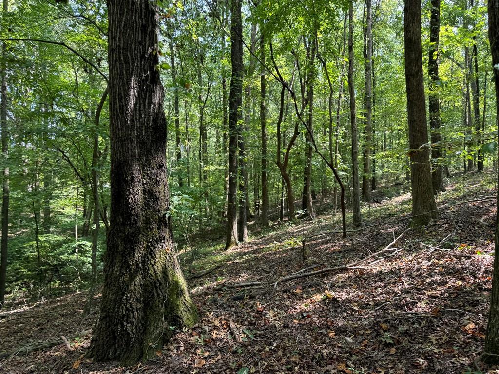 348 Pat Rich Drive, Canton, Georgia image 9