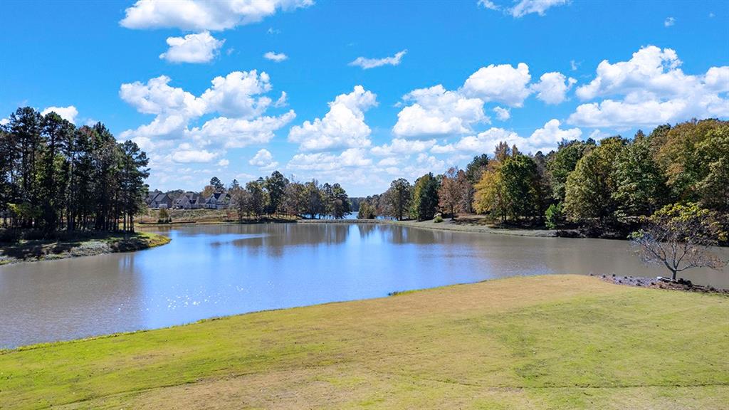 409 Great Salt Lane - Lot 2788 Ln, Hoschton, Georgia image 42