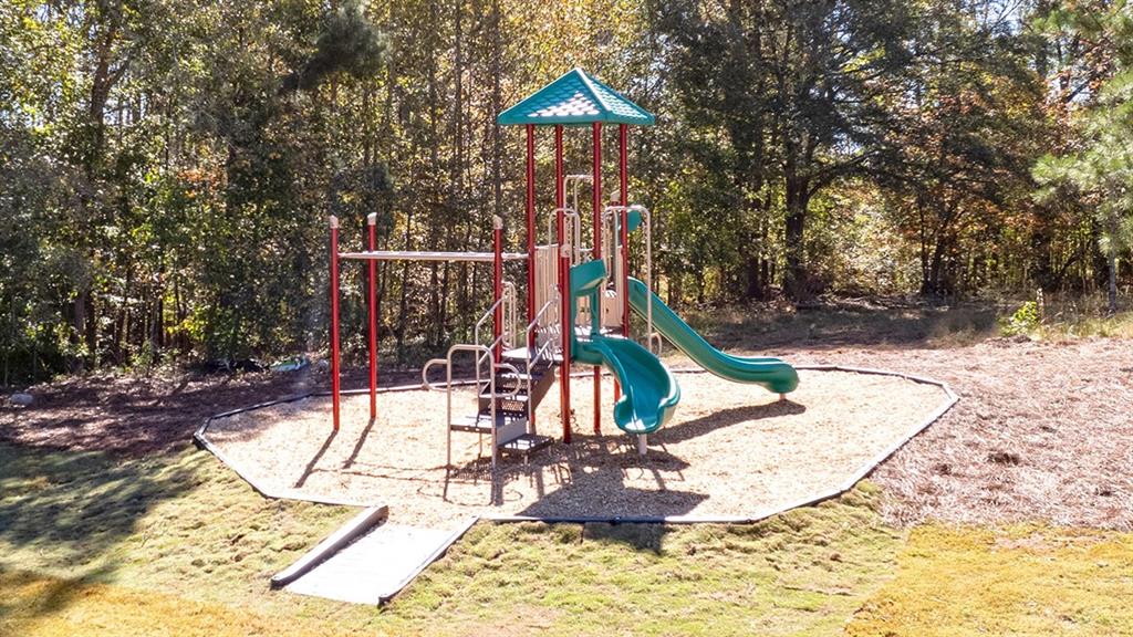 409 Great Salt Lane - Lot 2788 Ln, Hoschton, Georgia image 45