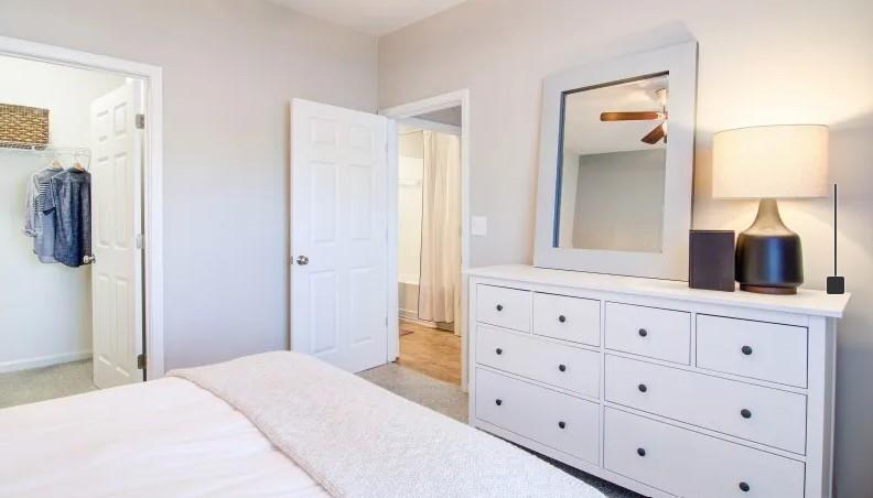 Avana North Point - Residential Lease