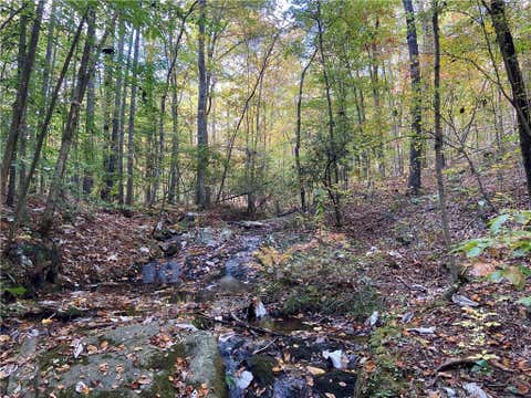 Vacant Land For Sale - 00 Lone Bear Path<br/> Dallas, GA 30132