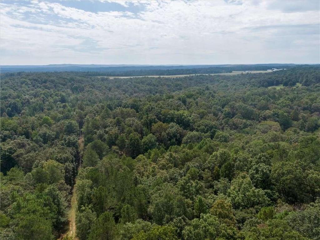 Pine Mountain Rd Tract 1, Rockmart, Georgia image 7