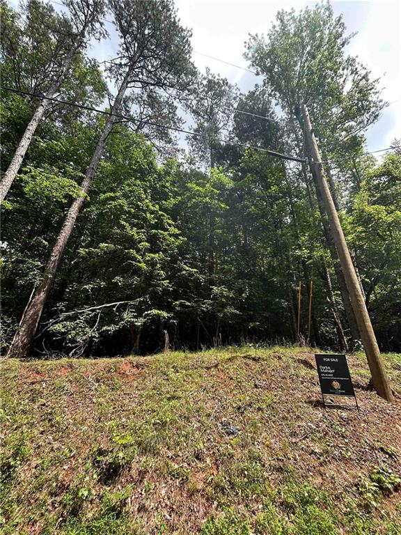 Here's your chance to own 2.96 acres of land in Gainesville neighboring lakefront properties on Lake Lanier — two adjacent lots being sold together (3223 and 3229 Hidden Valley Road)! These private, wooded lots offer a blank canvas to build your dream home(s), a family retreat, or an investment property. These lots are just 3.5 miles from Lake Lanier Olympic Park, with easy access to boating, fishing, nature trails, events, shopping, schools, and major roads. Don’t miss this chance to create your own North Georgia paradise.