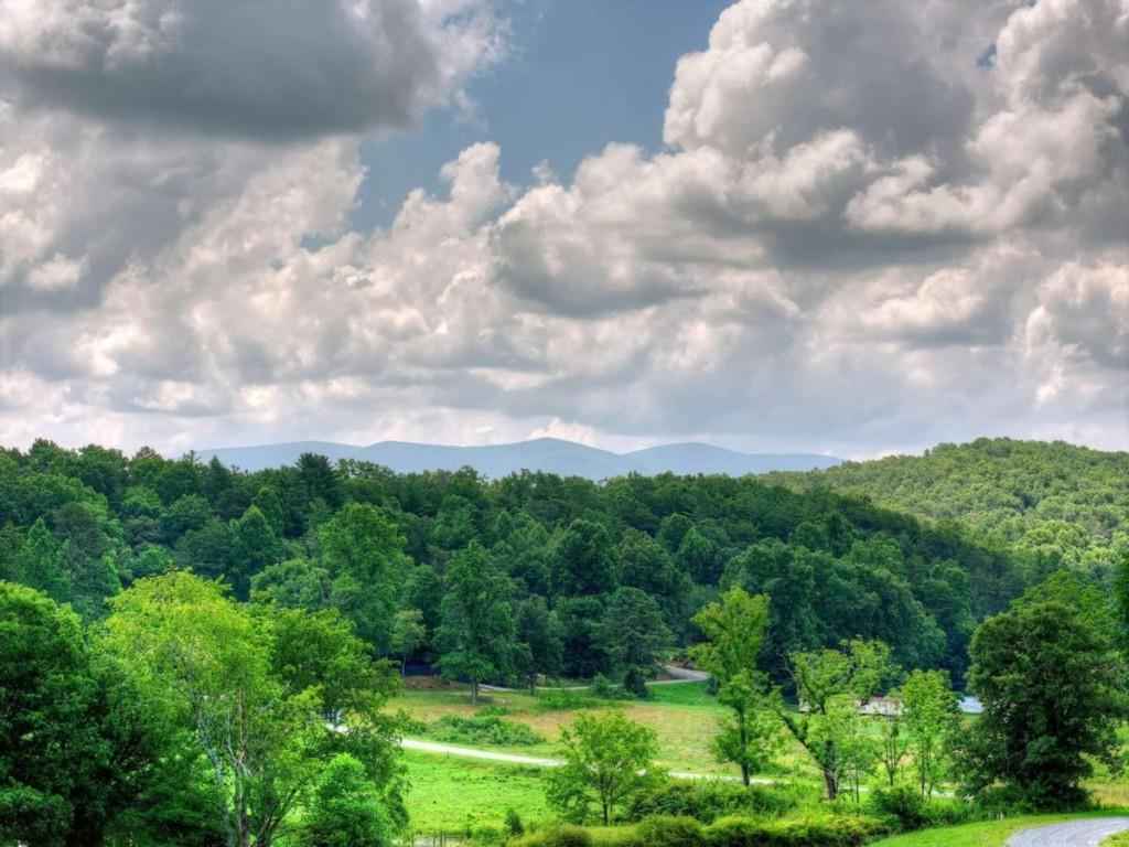 246 Bearden Farm Overlook