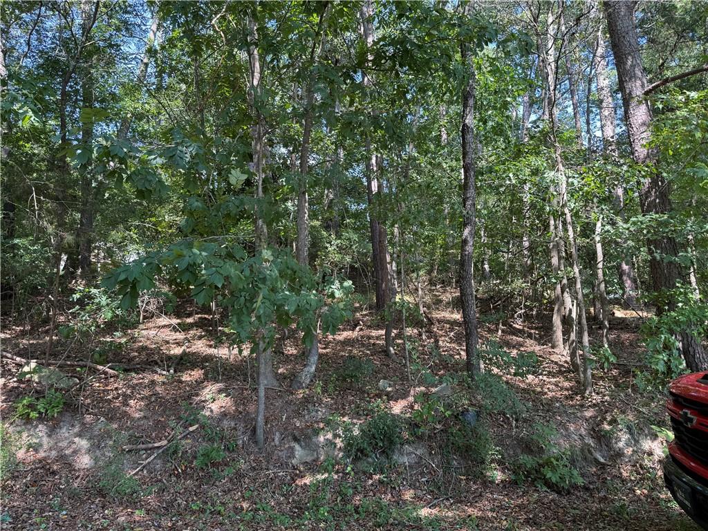2390 Trailwood Drive NE