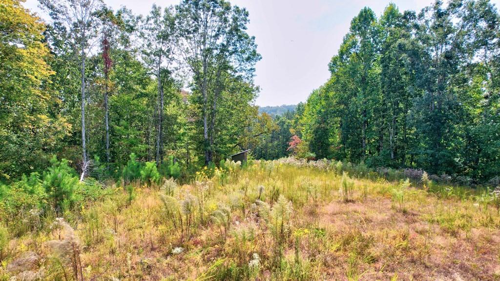 32 Oak Hill, Ellijay, Georgia image 7