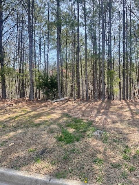 25 Bridgestone Way, Cartersville, Georgia image 1