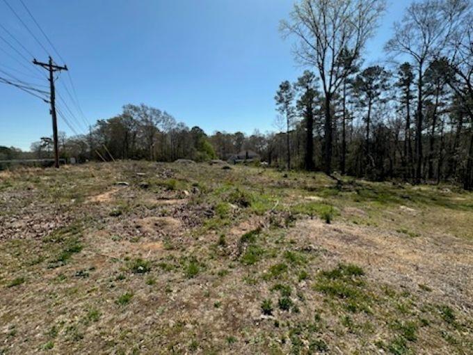 4774 Annistown Road, Stone Mountain, Georgia image 3