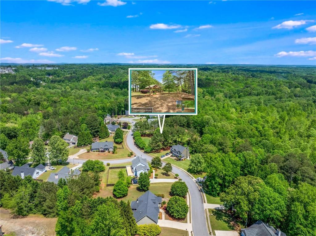 4572 Mulberry Fields Lane, Auburn, Georgia image 48