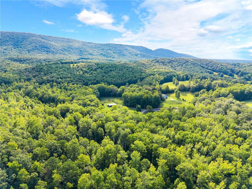 299 Happy Trails Way