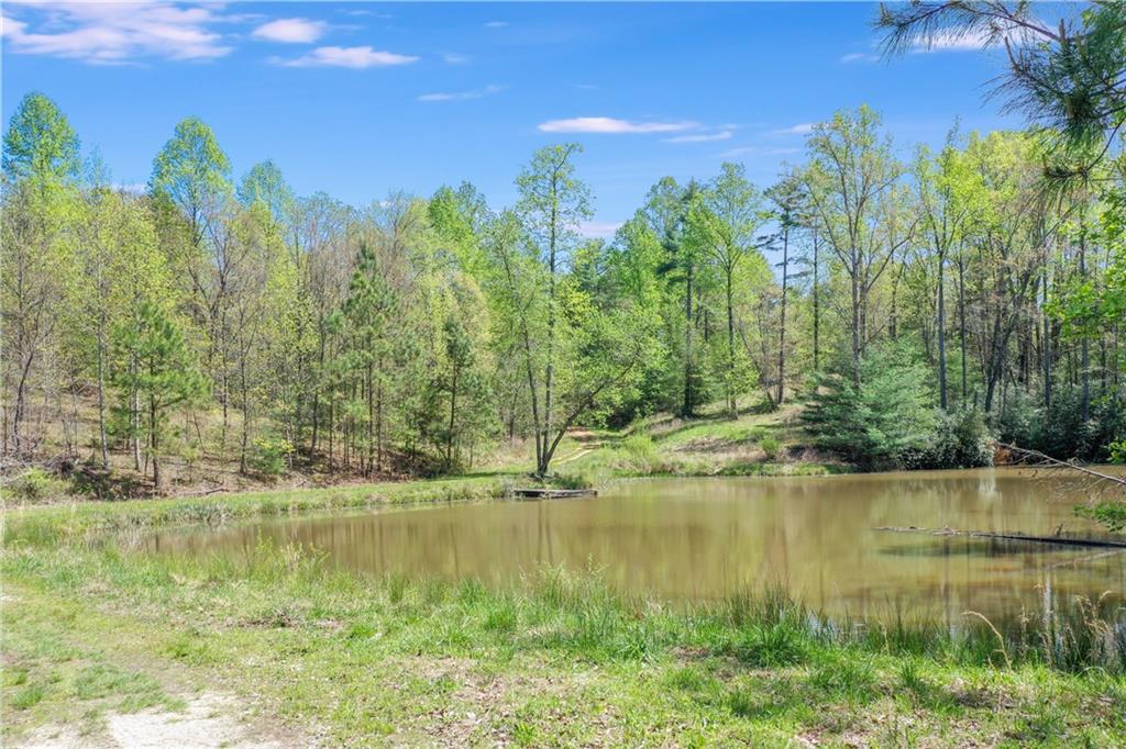 602 Gibson Road, Clarkesville, Georgia image 14