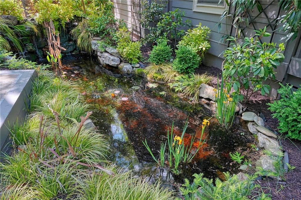 230 Chestnut Rise Trail