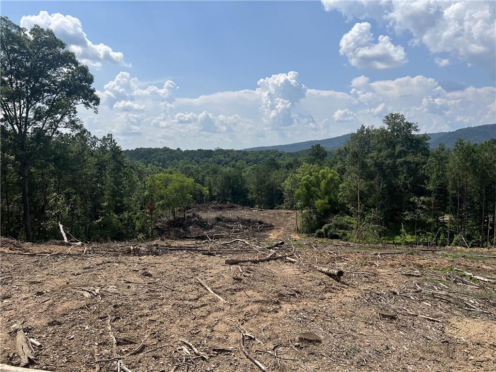 2055 Blacks Bluff Road SW