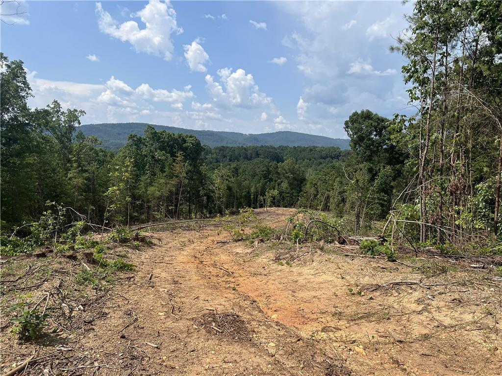 2055 Blacks Bluff Road SW