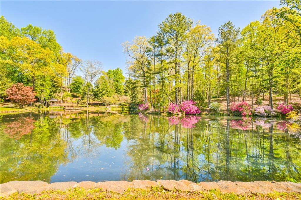 6025 River Oaks Drive, Flowery Branch, Georgia image 39