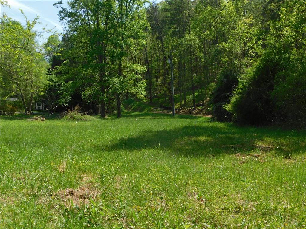 Lot 11 Tobacco Pouch Lane, Dahlonega, Georgia image 6