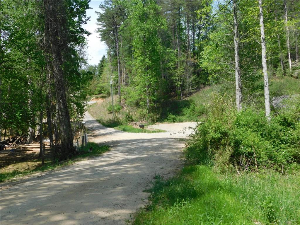 Lot 11 Tobacco Pouch Lane, Dahlonega, Georgia image 9