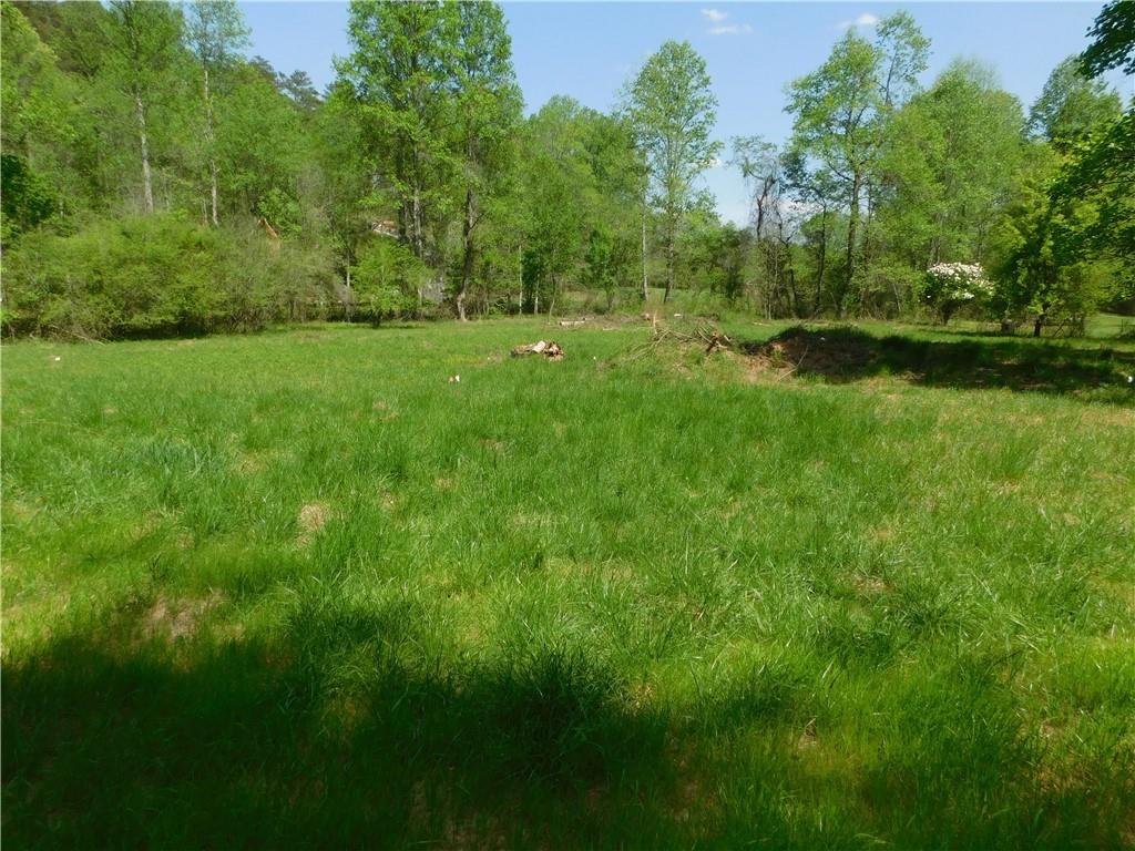 Lot 11 Tobacco Pouch Lane, Dahlonega, Georgia image 2